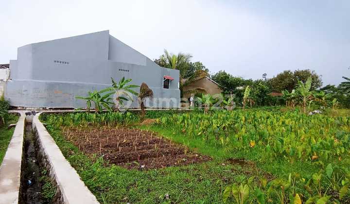 Kapling Special Free Tv, Dekat Terminal Laladon