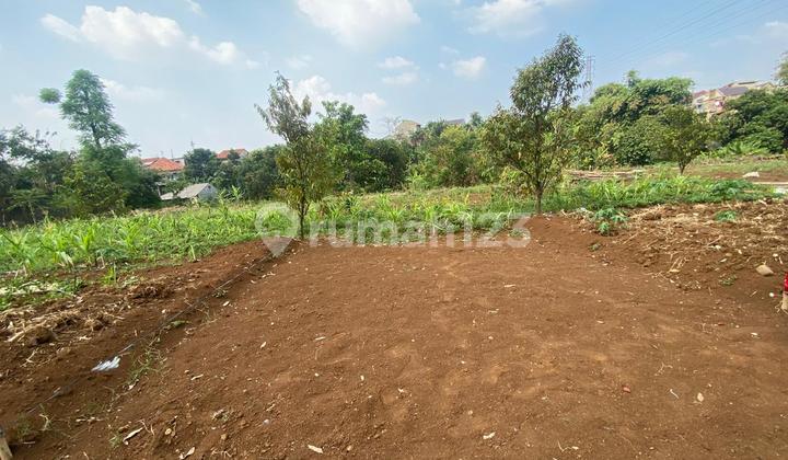 Kavling SHM Bonus TV Dekat Lotte Grosir Bogor