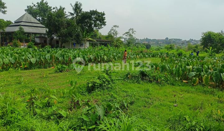 Dekat Ipb Dramaga, Kapling Special Bonus AC