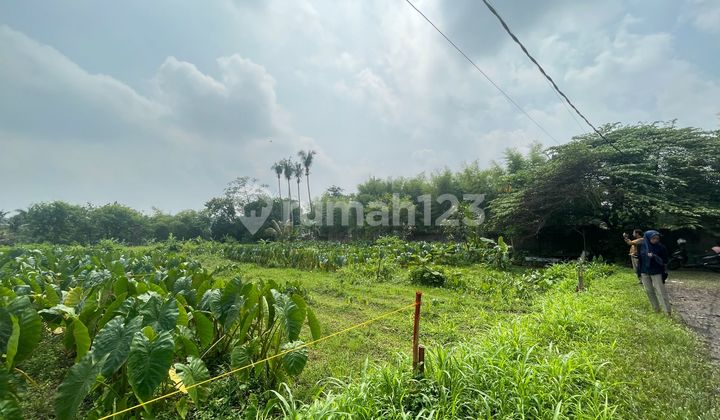 Potensial Bisnis Kost, Kavling Dekat Ipb Dramaga Promo Imlek