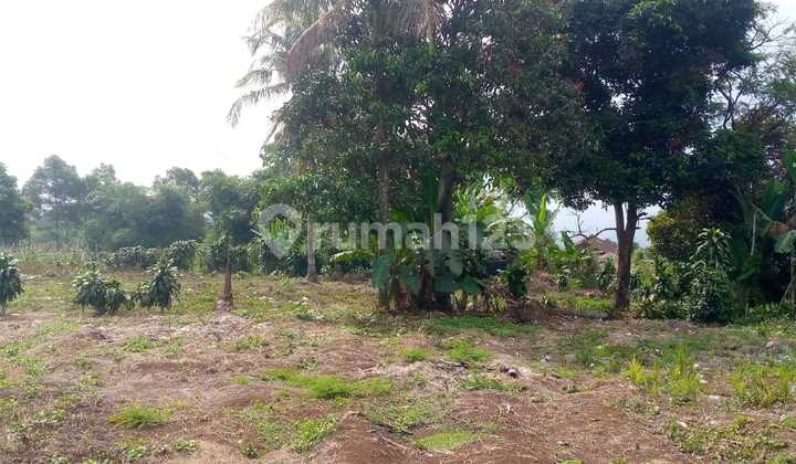 Kavling Investasi di Tamansari Bogor, Pas Bangun Villa Free Bbn