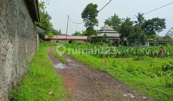 Dekat Ipb Dramaga, Kapling Special Bonus Mesin Cuci Dekat Ipb Dramaga, Kapling Special Bonus Mesin Cuci