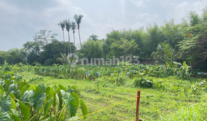 Kavling Premium Dekat Ipb Bonus TV, Promo Tahun Baru