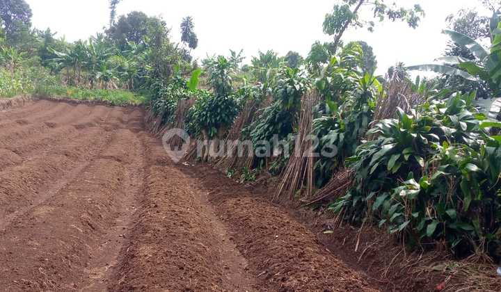 Kavling Investasi di Tamansari Bogor, Bonus HP Samsung Kavling Investasi di Tamansari Bogor, Bonus HP Samsung