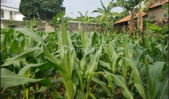 Tanah Kavling Menguntungkan ,Siap Balik Nama Kab Bogor  1