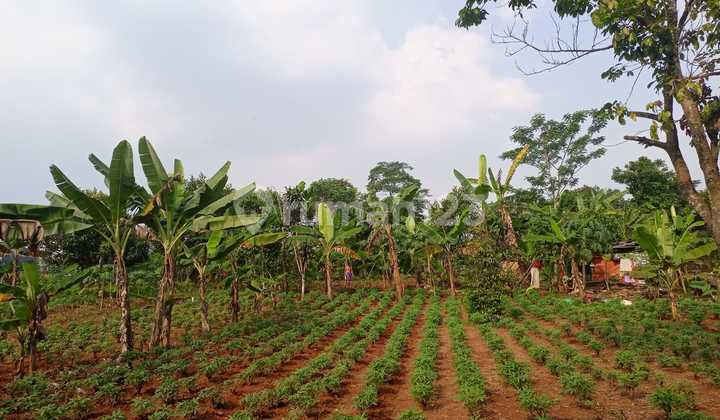 In Pura Bojonggede Housing, Free Refrigerator SHM Plot