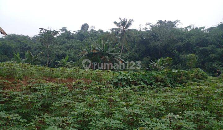 Legalitas SHM Siap Bangun Rumah Luasan 69 Ciampea  2