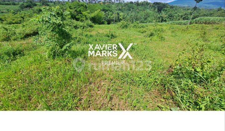 Dijual Tanah Cocok Untuk Dibangun Cluster Atau Perumahan Lokasi Wagir Kabupaten Malang, Akses Jalan Aspal