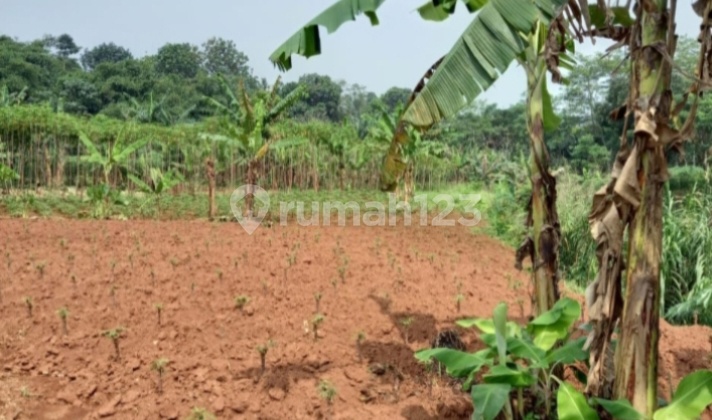 Muraah,tanah Siap Bangun Di Parung ,bogor,bisa Bangun Perumahan