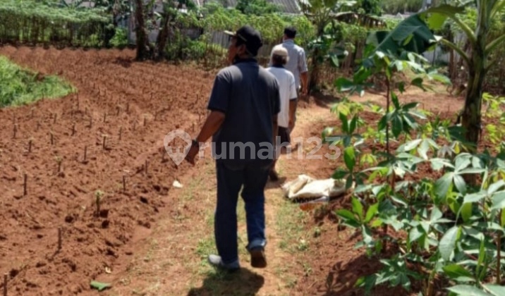 Muraah,tanah Siap Bangun Di Parung ,bogor,bisa Bangun Perumahan