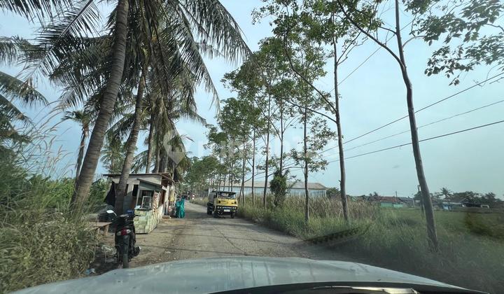 Dijual tanah di paku haji di tangerang , luas 2200m2 dengan harga 2,5 per m2 , Surat SHM