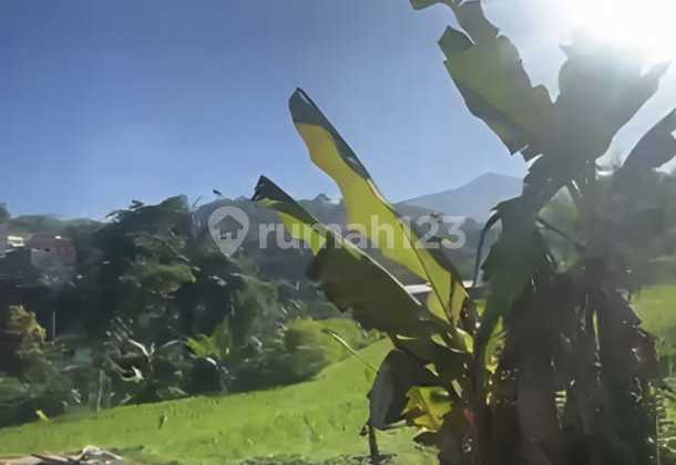 4 Bidang Tanah Murah PROSPEKTIF di area Sindanglaya Ujung Berung 4 Bidang Tanah Murah PROSPEKTIF di area Sindanglaya Ujung Berung