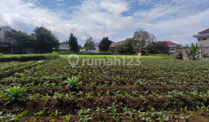 Tanah Tersedia 4 Kavling di Setiabudi Regency, Bandung