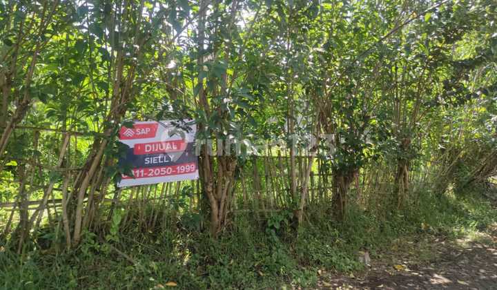 Tanah Kavling Lokasi Bagus di Setiabudi Regency, Bandung