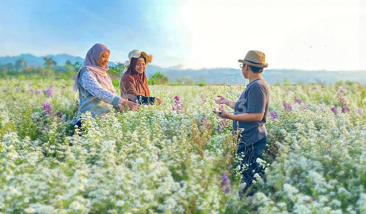 Tanah Kavling Shm Blossom Field Cipanas Puncak 2