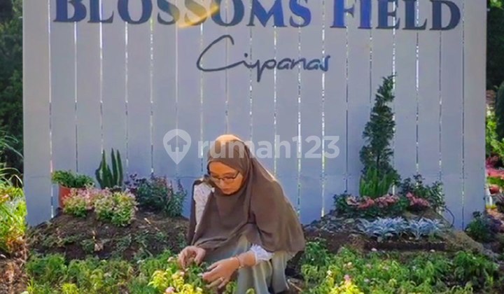 Tanah Kavling Shm Blossom Field Cipanas Puncak 1