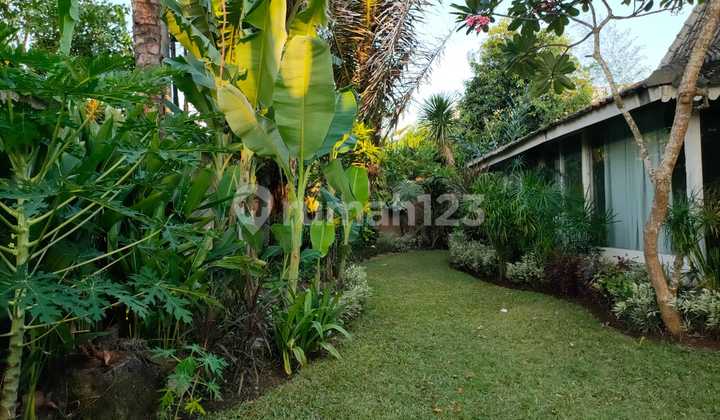 Villa with Joglo Style and Spacious Garden 2