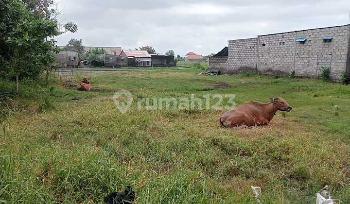 Tanah 800M² Pulau Moyo Tanah 800M² Pulau Moyo