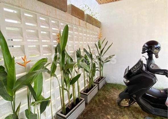 Semi Villa House for Rent in Pemogan Area, Long Lease up to 20 Years Possible Semi Villa House for Rent in Pemogan Area, Long Lease up to 20 Years Possible