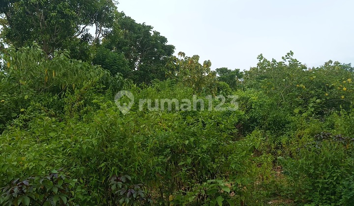Tanah 200 M² Dekat Pantai Melasti Jarang Ada, Lingkungan Tenang Ungasan