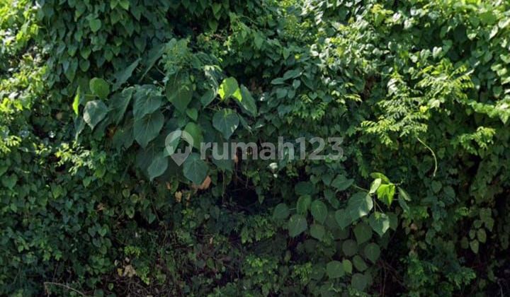 Tanah Strategis Dekat Fasilitas Umum Jl Moh Yamin Renon Denpasar