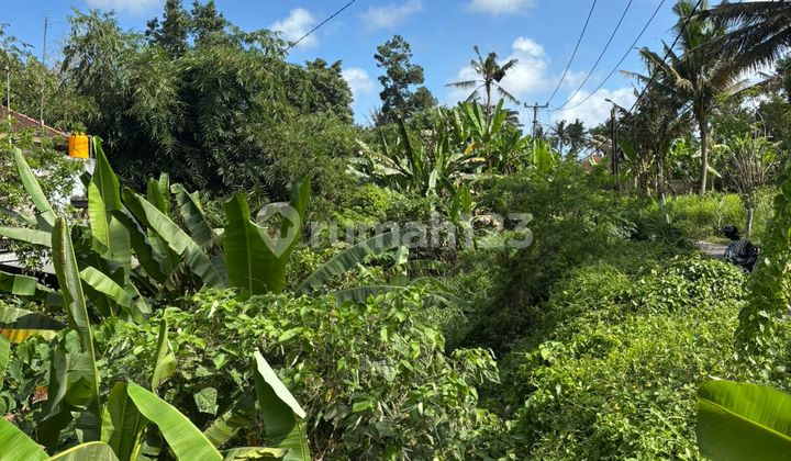 Tanah Zona Kuning Kawasan Villa Lod Tunduh Ubud Gianyar Bali