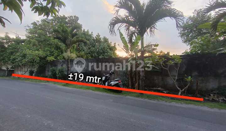 Tanah Datar Pinggir Jalan Utama Uma Buluh Kayu Tulang Canggu Bali