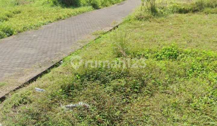 Land View Rice Field Kedungu Beach Tabanan Bali, Yellow Zone