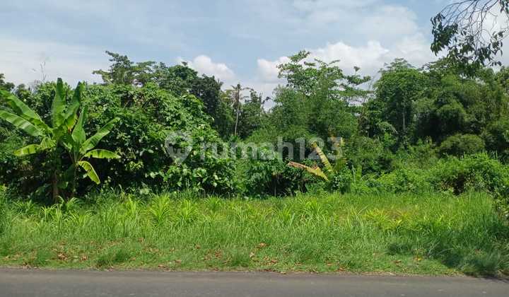 Tanah Dekat Kawasan Wisata Taman Ujung Karangasem Bali
