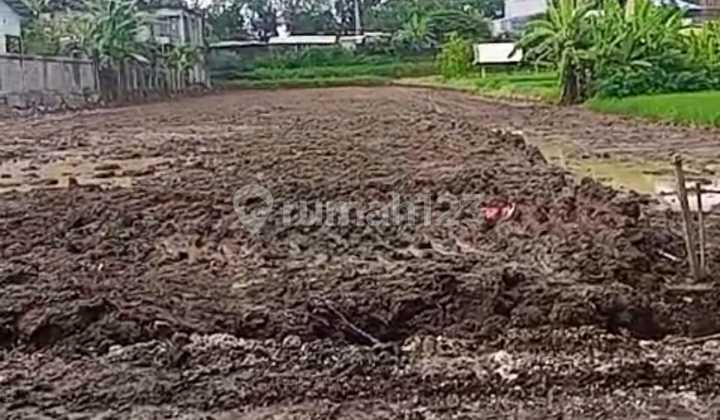 For Rent Land on Jl Rangkan Ketewel Gianyar, Strategic Location.