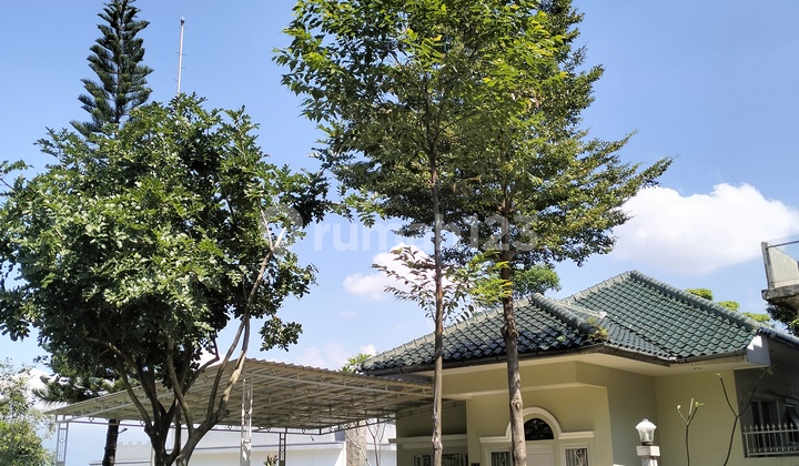 Dijual Rumah Bagus di  #BabakanMadang006 