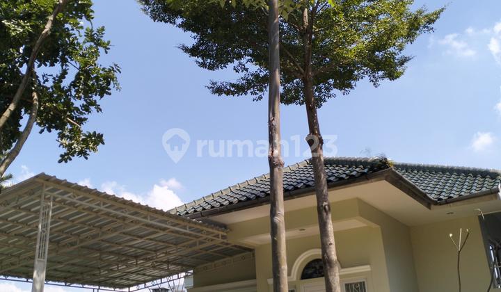 Dijual Rumah Bagus di  #BabakanMadang006  2