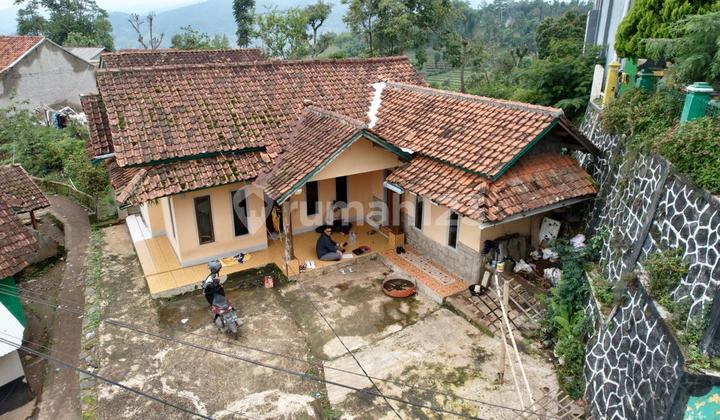 Rumah Murah di Pedesaan, Cocok Buat Investasi & Tempat Tinggal