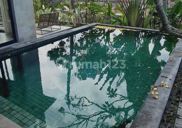 Di Jual Villa Lokasi Cemagi Mengwi Badung Di Jual Villa Lokasi Cemagi Mengwi Badung