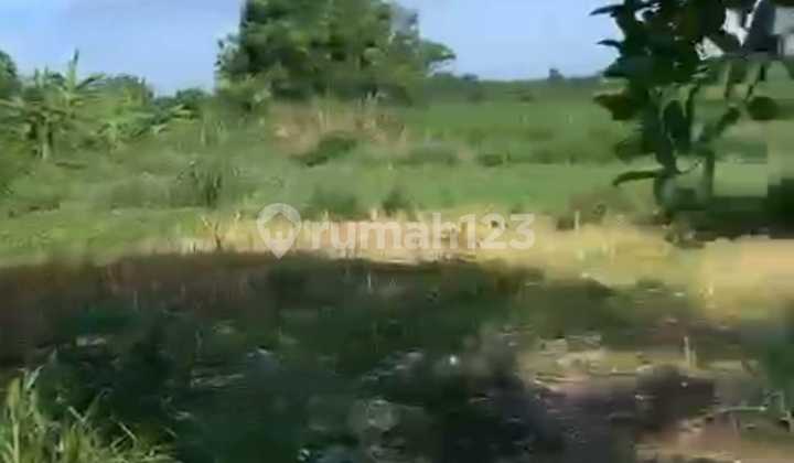 Di Jual Tanah Lokasi Padang Galak Denpasar Timur Bali 