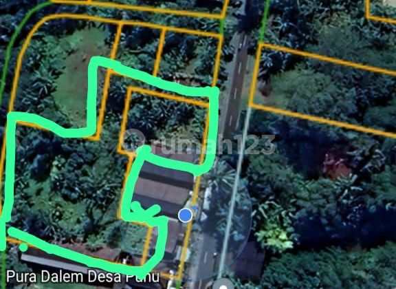 For Sale Land in Puhu Payangan Ubud Gianyar For Sale Land in Puhu Payangan Ubud Gianyar