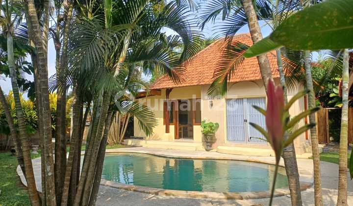 Di Jual Villa View Sawah Lokasi Kemenuh Ubud Gianyar