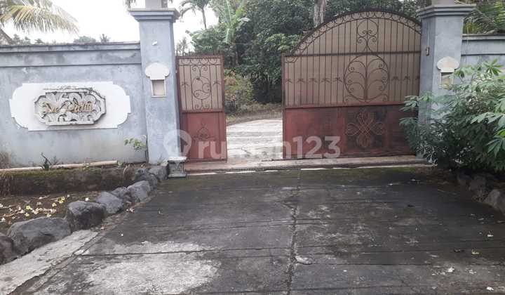 For Sale Villa with Rice Field View Located in Tangguntiti, Selemadeg, Tabanan