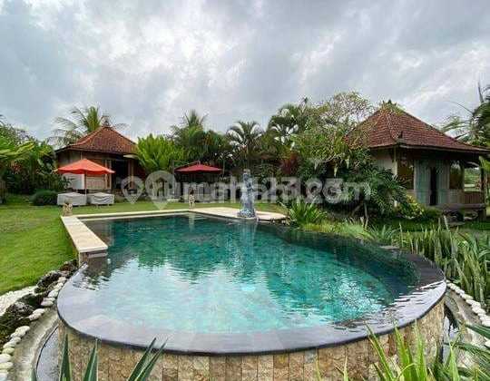 For Sale Villa Location Tampak Siring Pejeng Ubud Gianyar