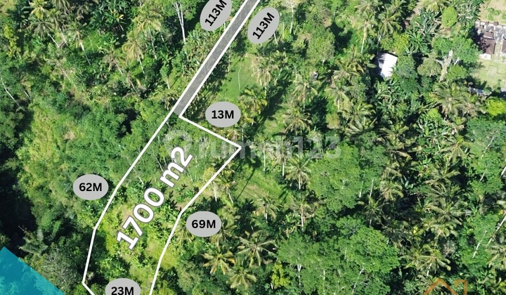 Di Jual Tanah View Hutan Lokasi Pupuan Tegallalang Gianyar Bali 
