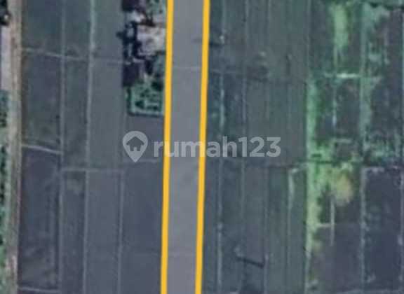 Di Jual Tanah Lokasi Kaba Kaba Kediri Tabanan Bali