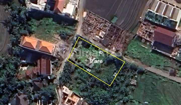 Di Jual Tanah Lokasi Pererenan Canggu Kuta Utara Badung Bal Di Jual Tanah Lokasi Pererenan Canggu Kuta Utara Badung Bal