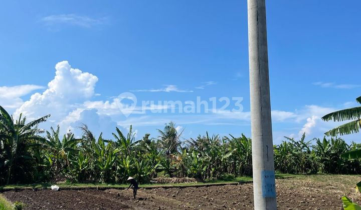 Di Jual Tanah Dekat Pantai View Laut Dan Gunung Lokasi Lokasi Kerambitan Tabanan Bali