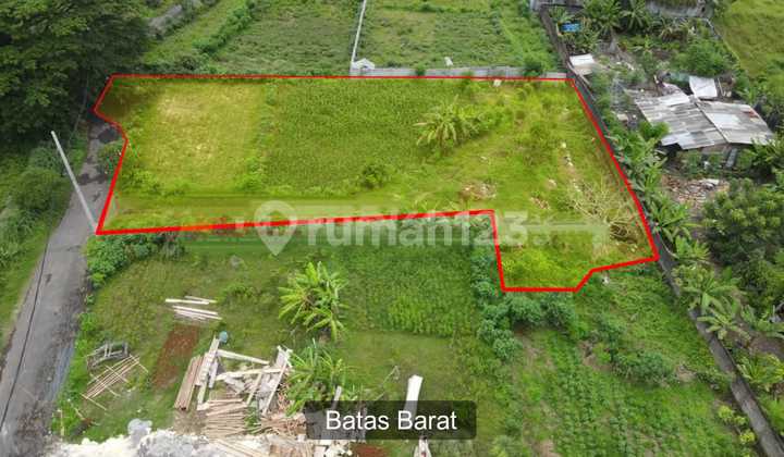 Di Jual Tanah Lokasi Jalan Arjuna Sanur Denpasar Selatan Bali Di Jual Tanah Lokasi Jalan Arjuna Sanur Denpasar Selatan Bali