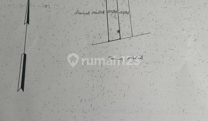 Di Jual Tanah Bonus Bangunan Lokasi Batu Belig Seminyak Kuta Badung