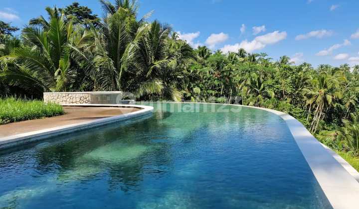 Cheapest in Its Class For Sale Villa with Rice Field View in Banjar Kuum Keladi, Tabanan