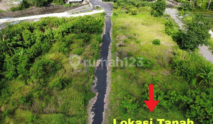 Di Jual Tanah Dekat Pantai Lokasi Munggu Kuta Utara Canggu Badung Bali 