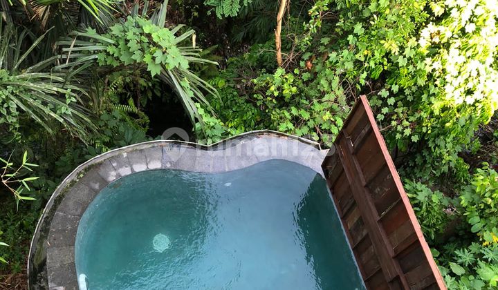 Cheapest In Its Class For Sale Villa Location Mas Ubud Gianyar