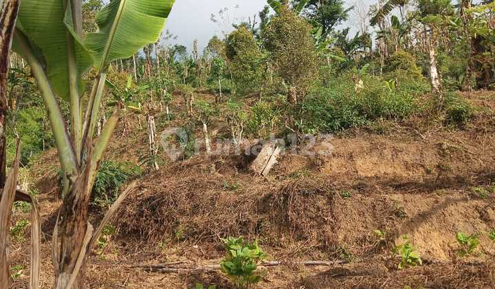 Land for Sale with Sea and Valley View, Gobleg Banjar Buleleng Bali