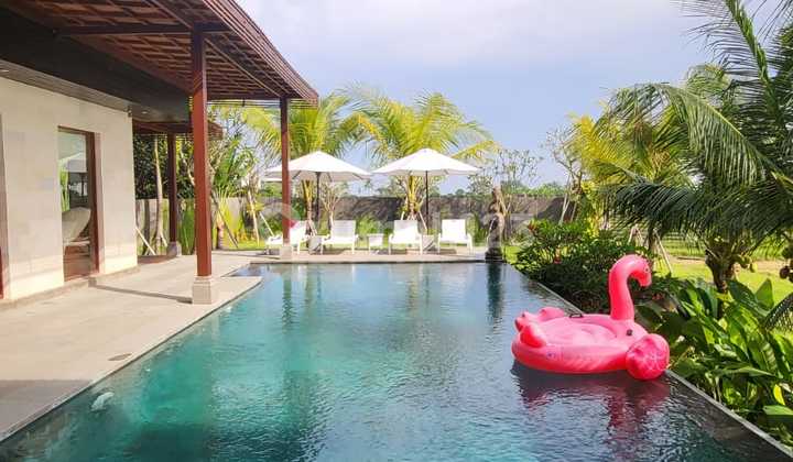 Di Jual Luxury Villa Lokasi Mangening Cemagi Mengwi Badung Di Jual Luxury Villa Lokasi Mangening Cemagi Mengwi Badung
